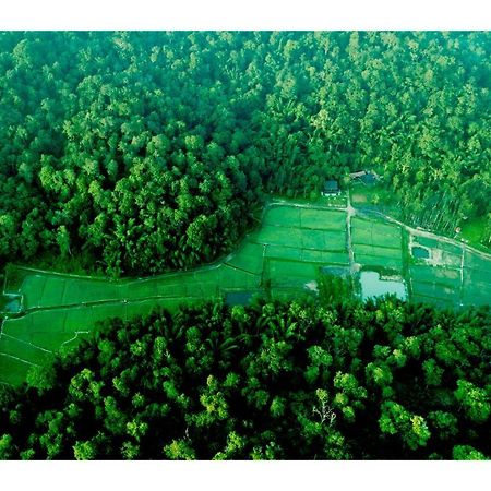 Vayal Veedu - Luxury Farm Villas By The Woods Muthanga Εξωτερικό φωτογραφία