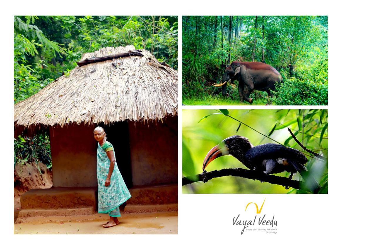 Vayal Veedu - Luxury Farm Villas By The Woods Muthanga Εξωτερικό φωτογραφία