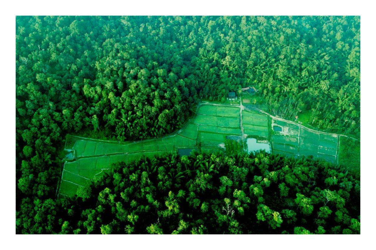 Vayal Veedu - Luxury Farm Villas By The Woods Muthanga Εξωτερικό φωτογραφία